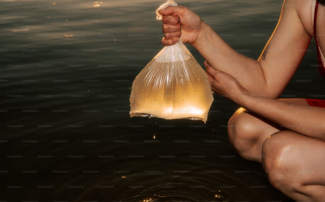 导管是什么意思梗